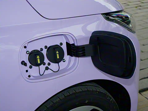 2026�� Mate 305km ����̤�˰�