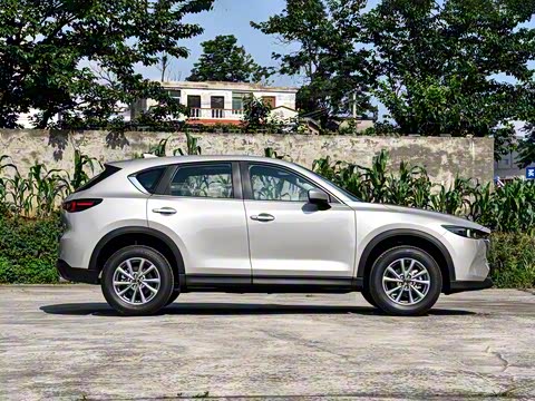 2025�� 2.0L �Զ���������Pro