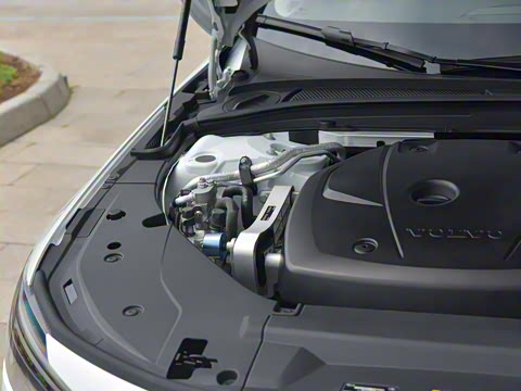 2026�� ���ʽ�춯 �������������ź�����