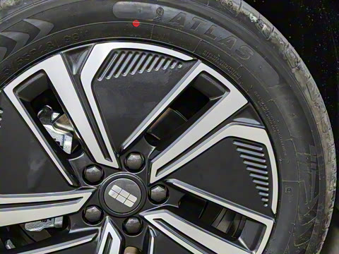 2025�� 55km ������