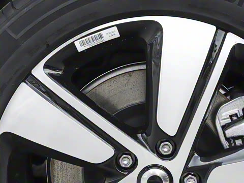 2026�� �鶯��������