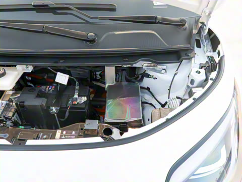 2025�� 330��ҫ��