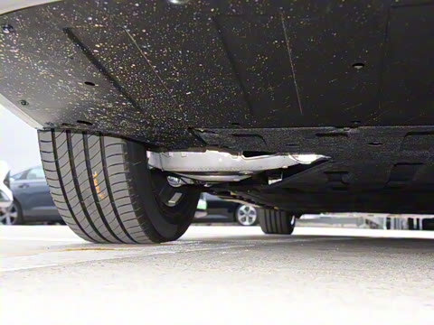 2025�� 702���������� Max