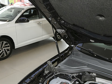 2025�� Pro 300TSI ��ҫ��