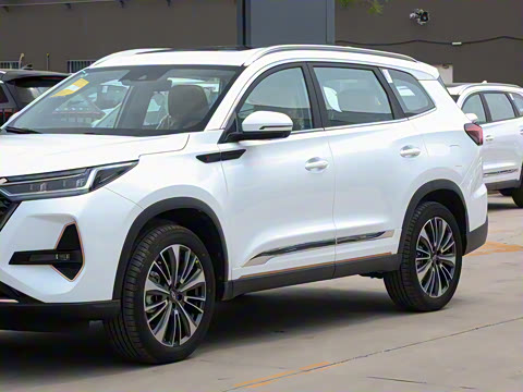 2024�� �ھ��� 390T �����۷�� 5��