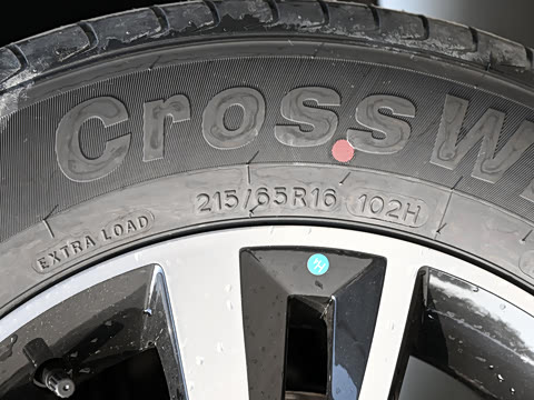 2022�� ʢ���� 1.6L �ֶ����ΰ�����