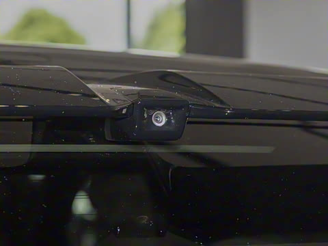 2025�� ������������������Max��