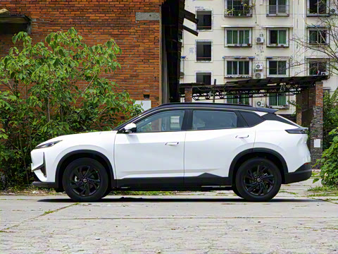 2025�� 518������