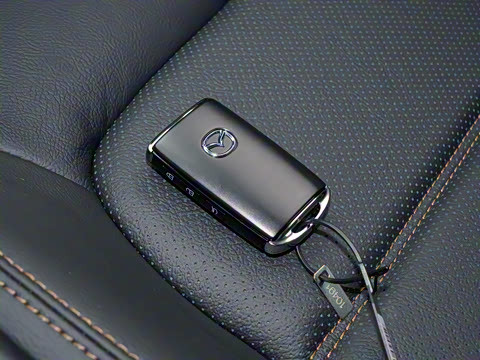 2025�� 2.0L �Զ���������Pro