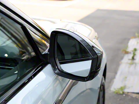 2024�� Dynamic SE