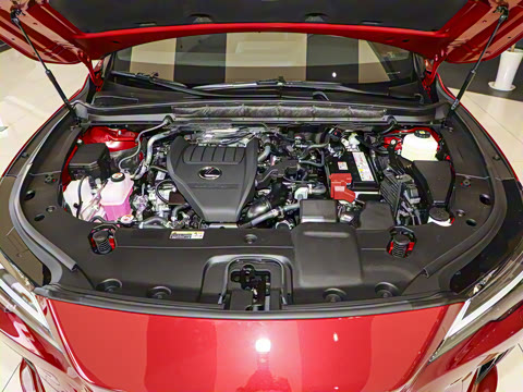 2025�� 300 ����������