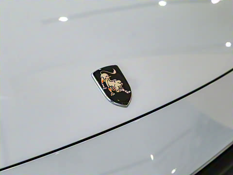 2024�� ��쮰� 1.5TD DCT���ƿ�