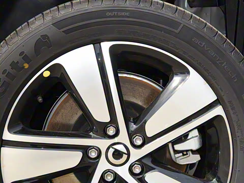 2026�� �鶯��������