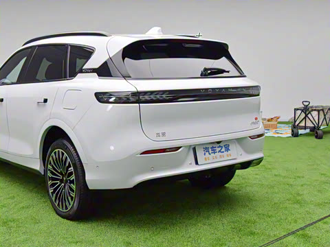 2025�� FREE+ ����Ǭ����