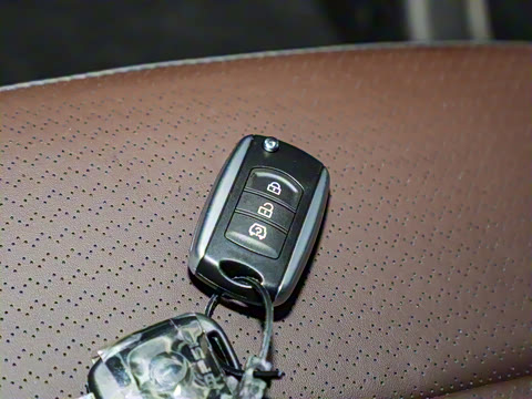 2021�� 2.0L �ֶ�������