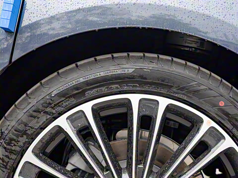 2025�� ���� Max+