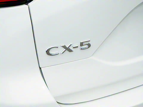 2025�� 2.0L �Զ�����������