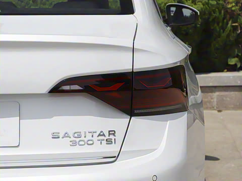 2025�� �Ŀ�� 300TSI DSG׿Խ��