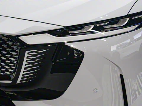 2025�� ����200�����˶���