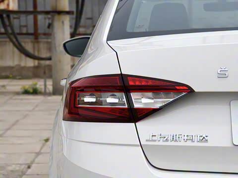 2019�� TSI230 DSG���к����� ��VI