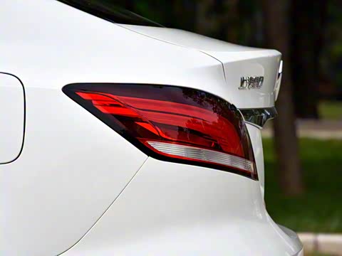 2019�� 20T �ֶ��˶���