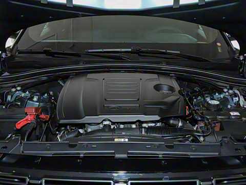 2026�� 250PS Dynamic SE