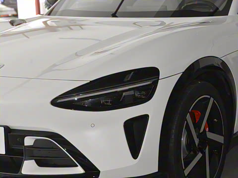 2025�� ������������������Max��