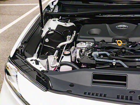 2025�� ˫�� 2.5HXS �˶�Plus���а�