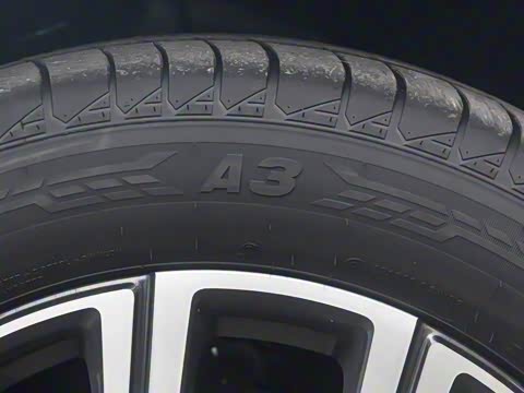 2025�� EcoBoost 170 �Ķ���