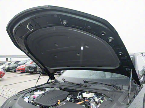 2025�� 130km EM-i ������