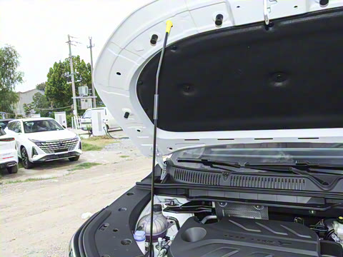 2025�� ���Ĵ� 1.5T ������ �ǻ�׿Խ��