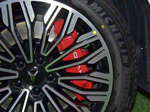 2025�� FREE+ ����Ǭ����