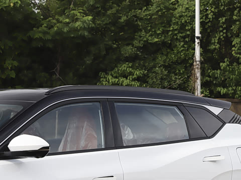 2025�� 205��������������