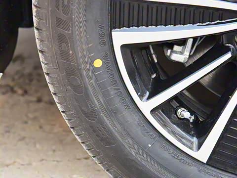 2019�� ���������