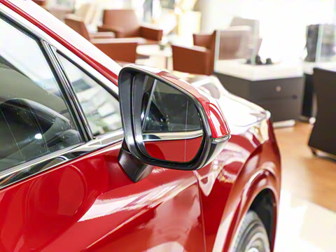 2025�� 300 ����������