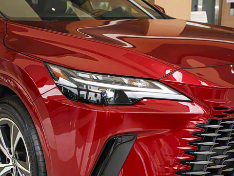 2025�� 300 ����������