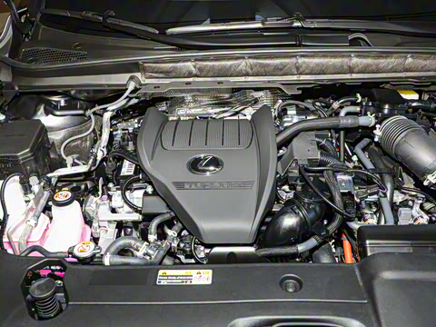 2025�� 500h ����F SPORT Performance