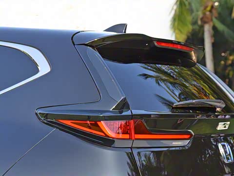 2020�� �񡤻춯 2.0L �����񡤻�ҹ��