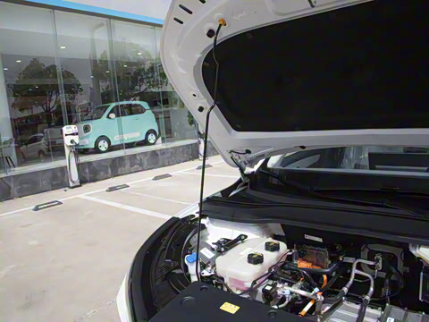 2025�� 445km ���ð�