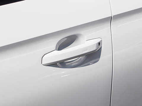 2024�� RS 5 2.9T Sportback ȼ���