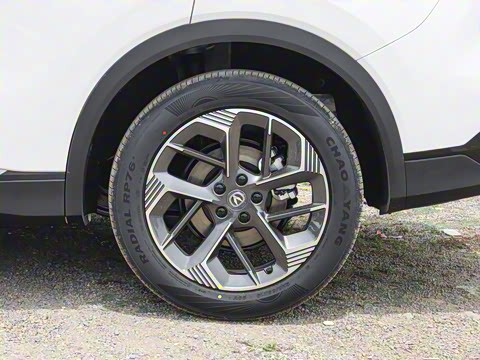 2025�� ���Ĵ� 1.5T ������ �ǻ�׿Խ��