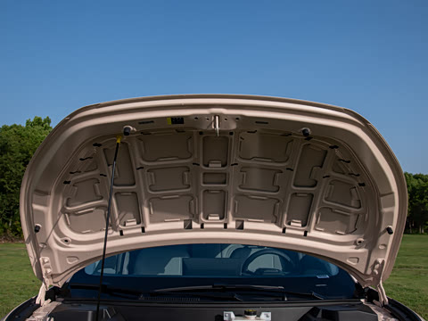 2025�� 600 �������� Max