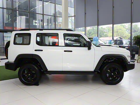 2025�� 2.0T ��ս��