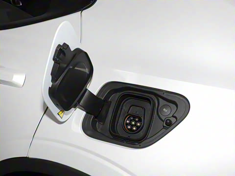 2024�� ˫���������