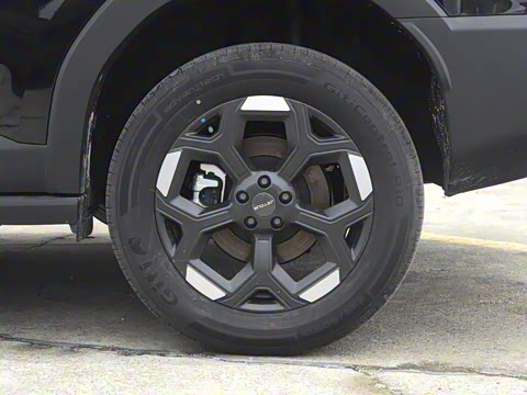 2025�� 2.0TD XWD��Խ