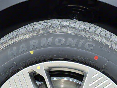 2025�� 445km ���ð�