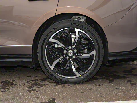 2023�� ������������