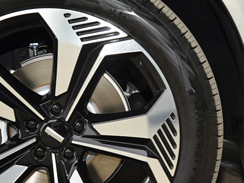 2023�� ��������������