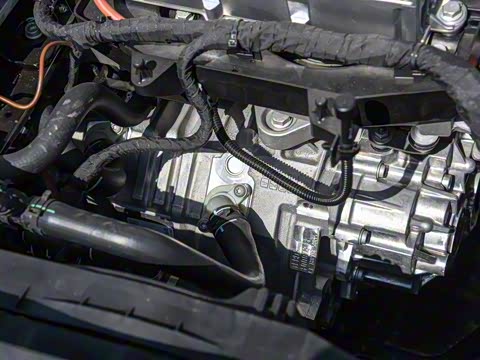 2019�� ������