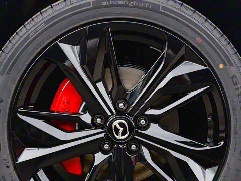 2025�� ����200�����˶���